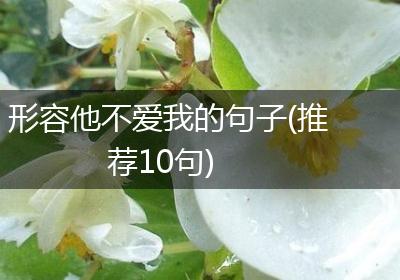 形容他不爱我的句子(推荐10句)
