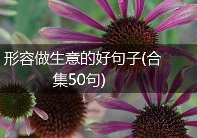 形容做生意的好句子(合集50句)