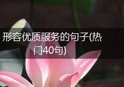 形容优质服务的句子(热门40句)