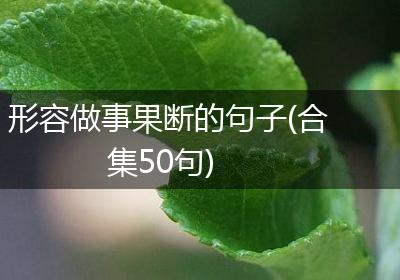 形容做事果断的句子(合集50句)