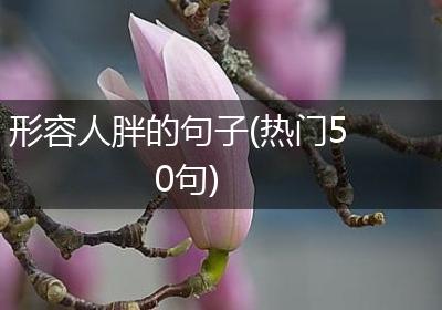 形容人胖的句子(热门50句)