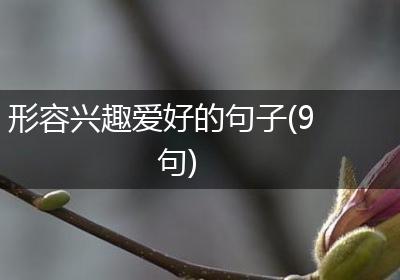 形容兴趣爱好的句子(9句)