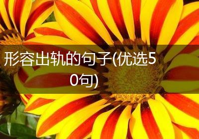 形容出轨的句子(优选50句)