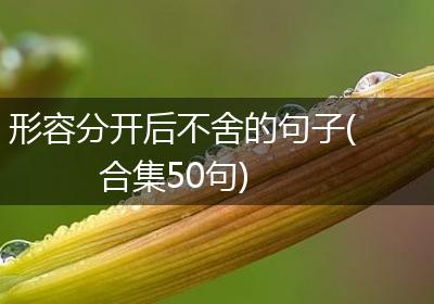 形容分开后不舍的句子(合集50句)