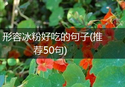 形容冰粉好吃的句子(推荐50句)