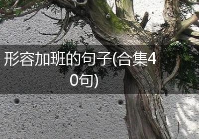 形容加班的句子(合集40句)