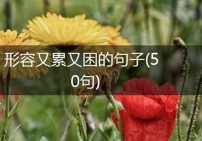 形容又累又困的句子(50句)
