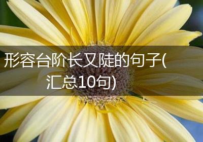 形容台阶长又陡的句子(汇总10句)