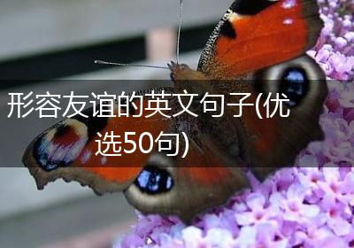形容友谊的英文句子(优选50句)