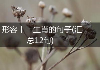 形容十二生肖的句子(汇总12句)