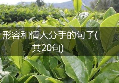 形容和情人分手的句子(共20句)
