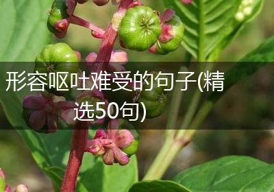 形容呕吐难受的句子(精选50句)