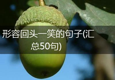 形容回头一笑的句子(汇总50句)