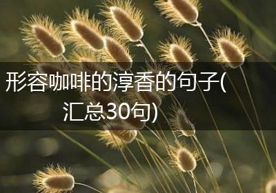 形容咖啡的淳香的句子(汇总30句)