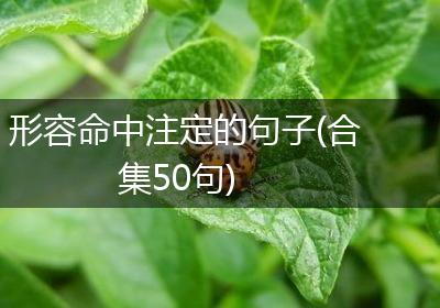 形容命中注定的句子(合集50句)