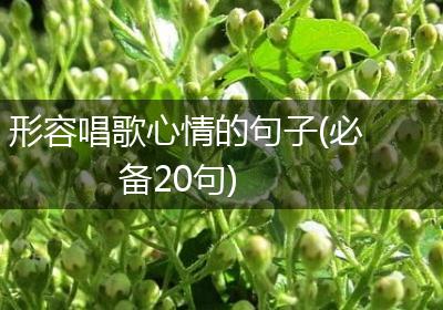 形容唱歌心情的句子(必备20句)