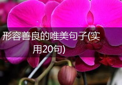 形容善良的唯美句子(实用20句)