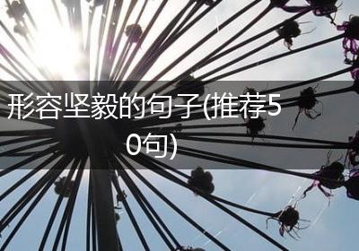 形容坚毅的句子(推荐50句)