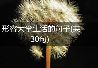 形容大学生活的句子(共30句)