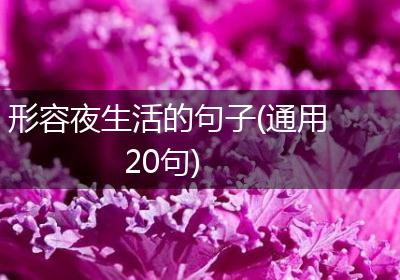 形容夜生活的句子(通用20句)