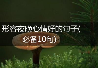 形容夜晚心情好的句子(必备10句)