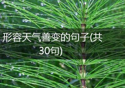 形容天气善变的句子(共30句)
