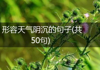 形容天气阴沉的句子(共50句)