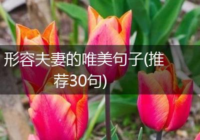 形容夫妻的唯美句子(推荐30句)