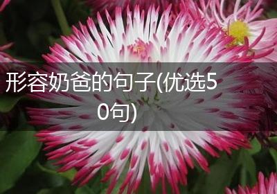 形容奶爸的句子(优选50句)