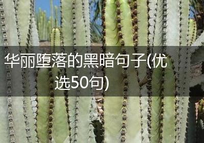华丽堕落的黑暗句子(优选50句)