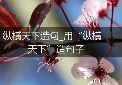 纵横天下造句_用“纵横天下”造句子
