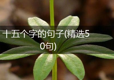 十五个字的句子(精选50句)