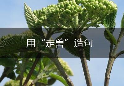 用“走兽”造句