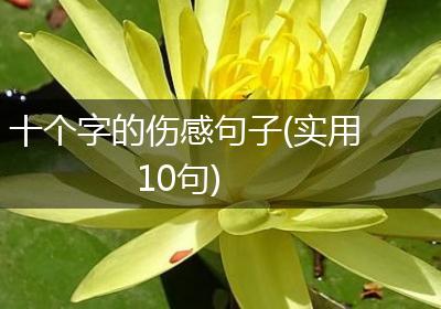 十个字的伤感句子(实用10句)