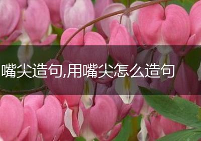 嘴尖造句,用嘴尖怎么造句
