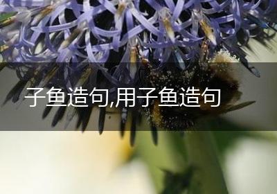 子鱼造句,用子鱼造句