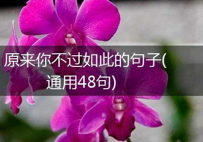 原来你不过如此的句子(通用48句)