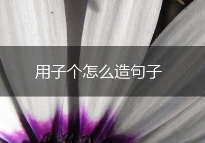 用子个怎么造句子