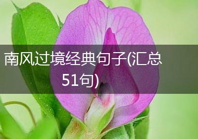 南风过境经典句子(汇总51句)