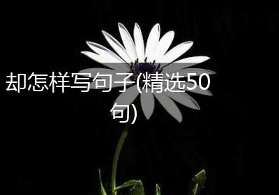 却怎样写句子(精选50句)