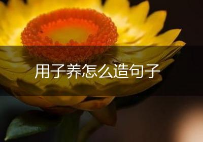 用子养怎么造句子
