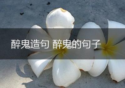 醉鬼造句 醉鬼的句子