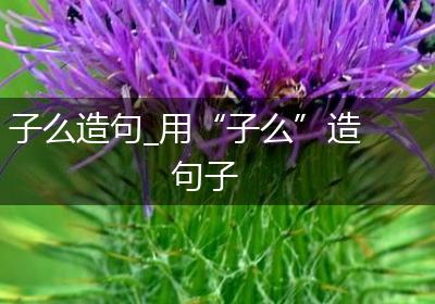 子么造句_用“子么”造句子