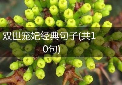 双世宠妃经典句子(共10句)