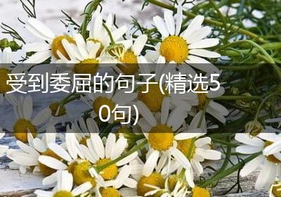 受到委屈的句子(精选50句)