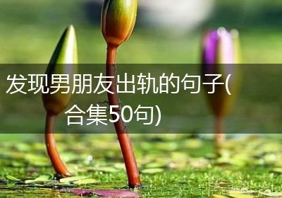 发现男朋友出轨的句子(合集50句)