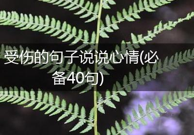 受伤的句子说说心情(必备40句)