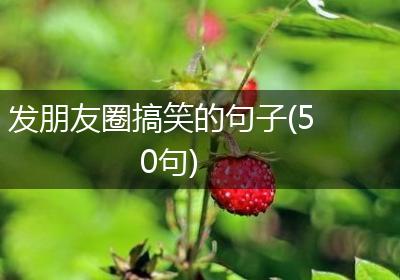 发朋友圈搞笑的句子(50句)