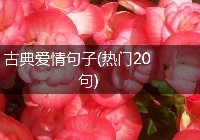 古典爱情句子(热门20句)