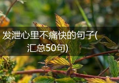 发泄心里不痛快的句子(汇总50句)